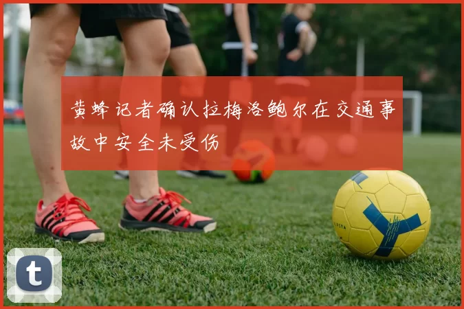 黄蜂记者确认拉梅洛鲍尔在交通事故中安全未受伤